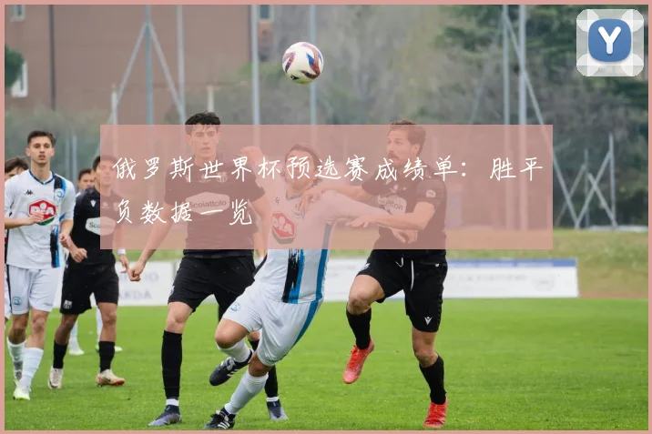 俄罗斯世界杯预选赛成绩单:胜平负数据一览