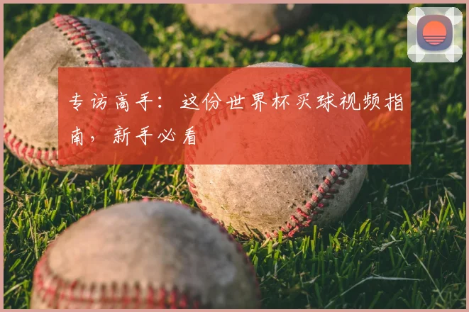专访高手:这份世界杯买球视频指南,新手必看