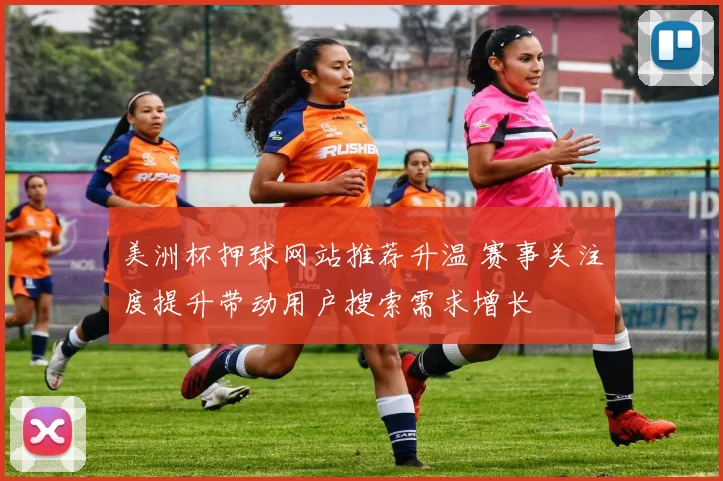 美洲杯押球网站推荐升温 赛事关注度提升带动用户搜索需求增长
