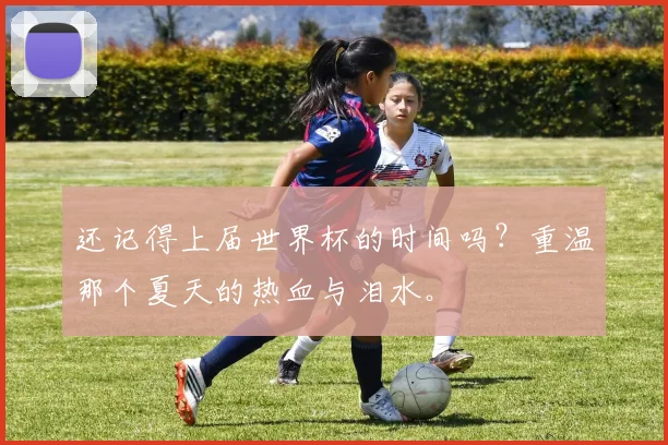 还记得上届世界杯的时间吗？重温那个夏天的热血与泪水。