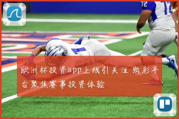 欧洲杯投资app上线引关注 购彩平台聚焦赛事投资体验