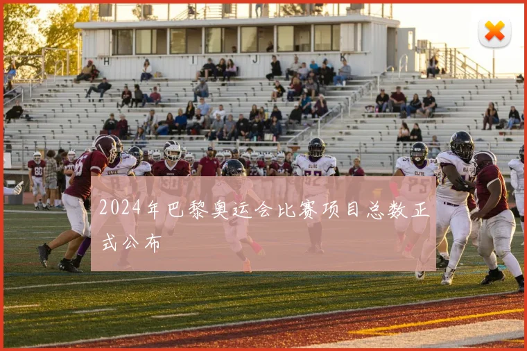 2024年巴黎奥运会比赛项目总数正式公布