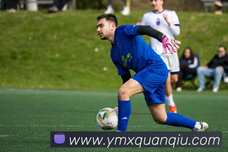 世界杯平台官网登录发展历程